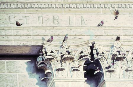 Pigeons of the Pillars