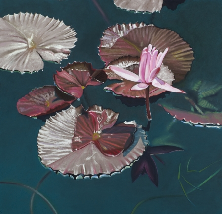 Waterlily III