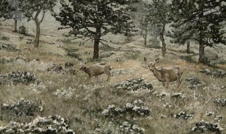 Winter Deer I