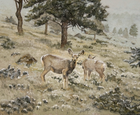 Winter Deer II